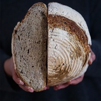 product-bakery-19