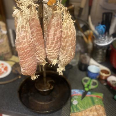 Img 2556